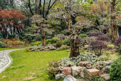 公園無線監控解決方案